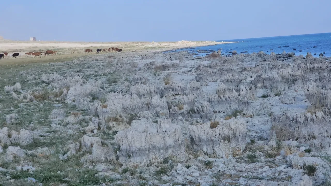 Van’da alarm! Sular çekildi tamamen kurudu