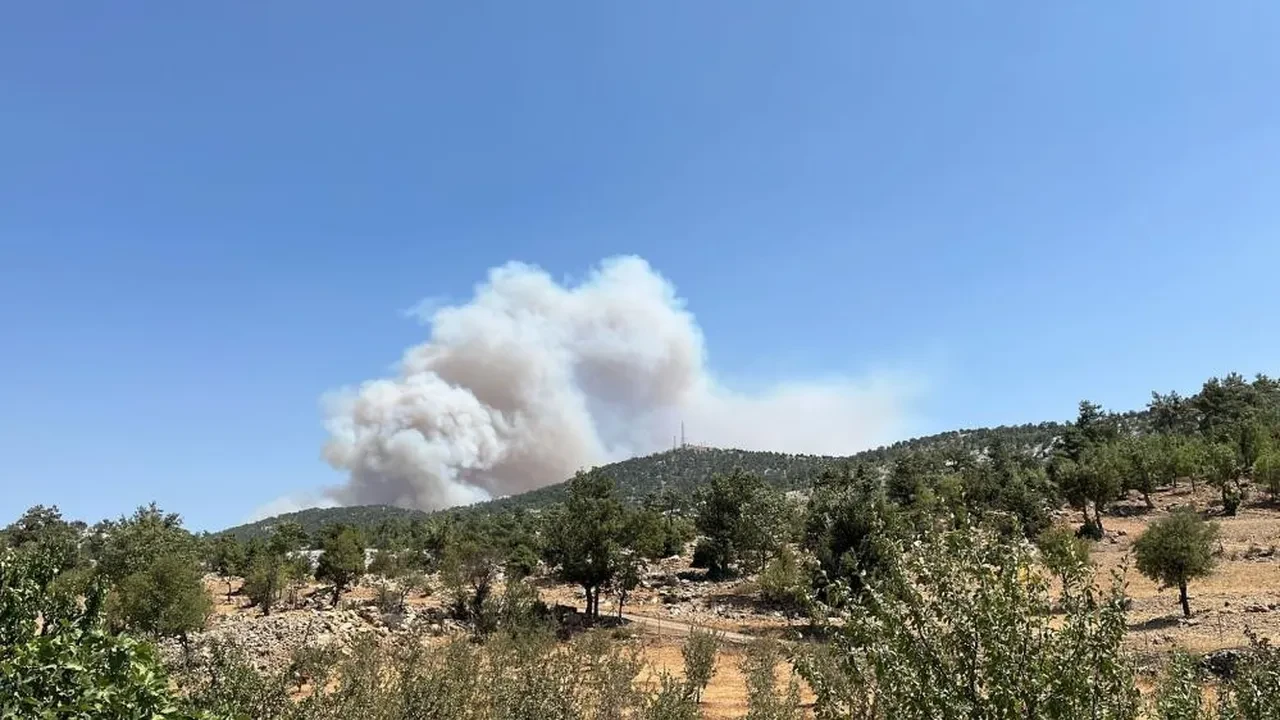 Mersin, Hatay ve Denizli'yi alevler sardı! Çok sayıda ev tahliye edildi