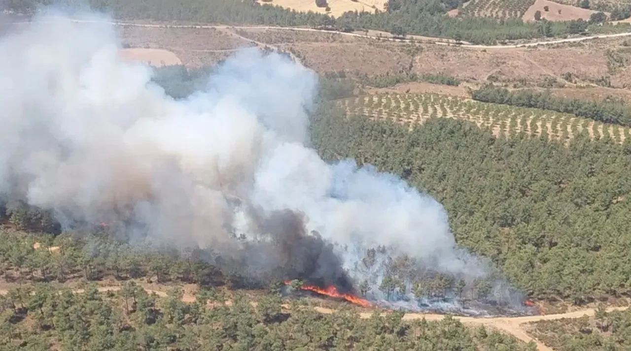 Mersin, Hatay ve Denizli'yi alevler sardı! Çok sayıda ev tahliye edildi