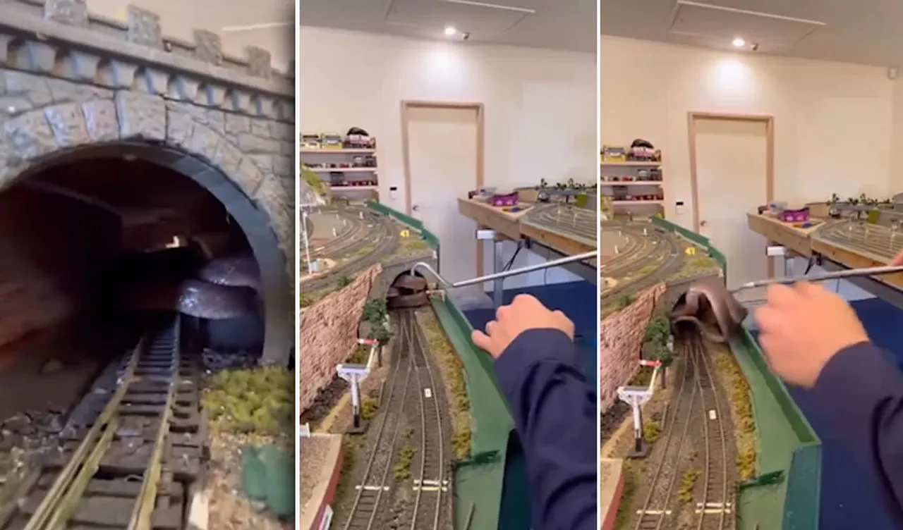 Model tren setinin tünelinde zehirli yılan! Ev sahibi fark etti, uzmanlar böyle yakaladı