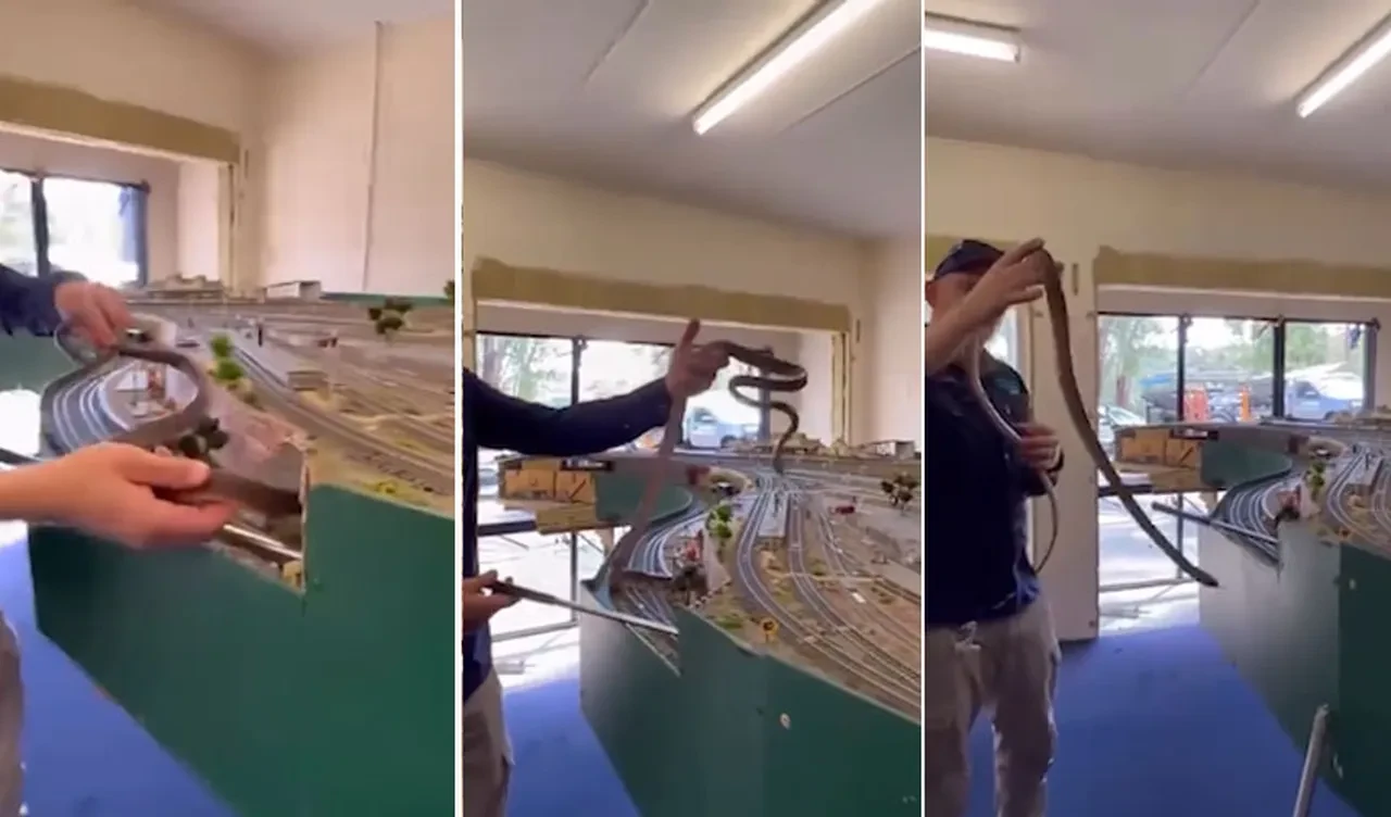 Model tren setinin tünelinde zehirli yılan! Ev sahibi fark etti, uzmanlar böyle yakaladı