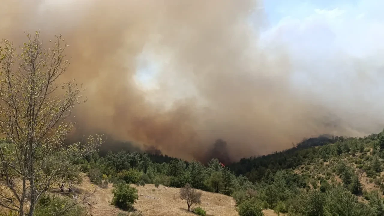 Silifke yangın son dakika söndürüldü mü? Havadan ve karadan söndürme çalışmaları başlatıldı