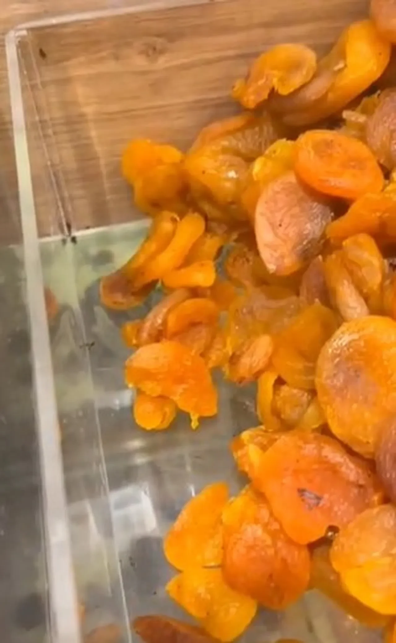 Ünlü kuruyemişçide skandal görüntü! Torbalar dolusu böceklenmiş ürünlere el konuldu