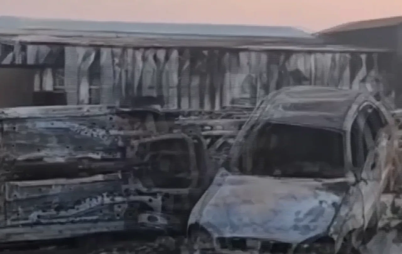 Yunanistan’da yüzlerce araç yanarak kül oldu!