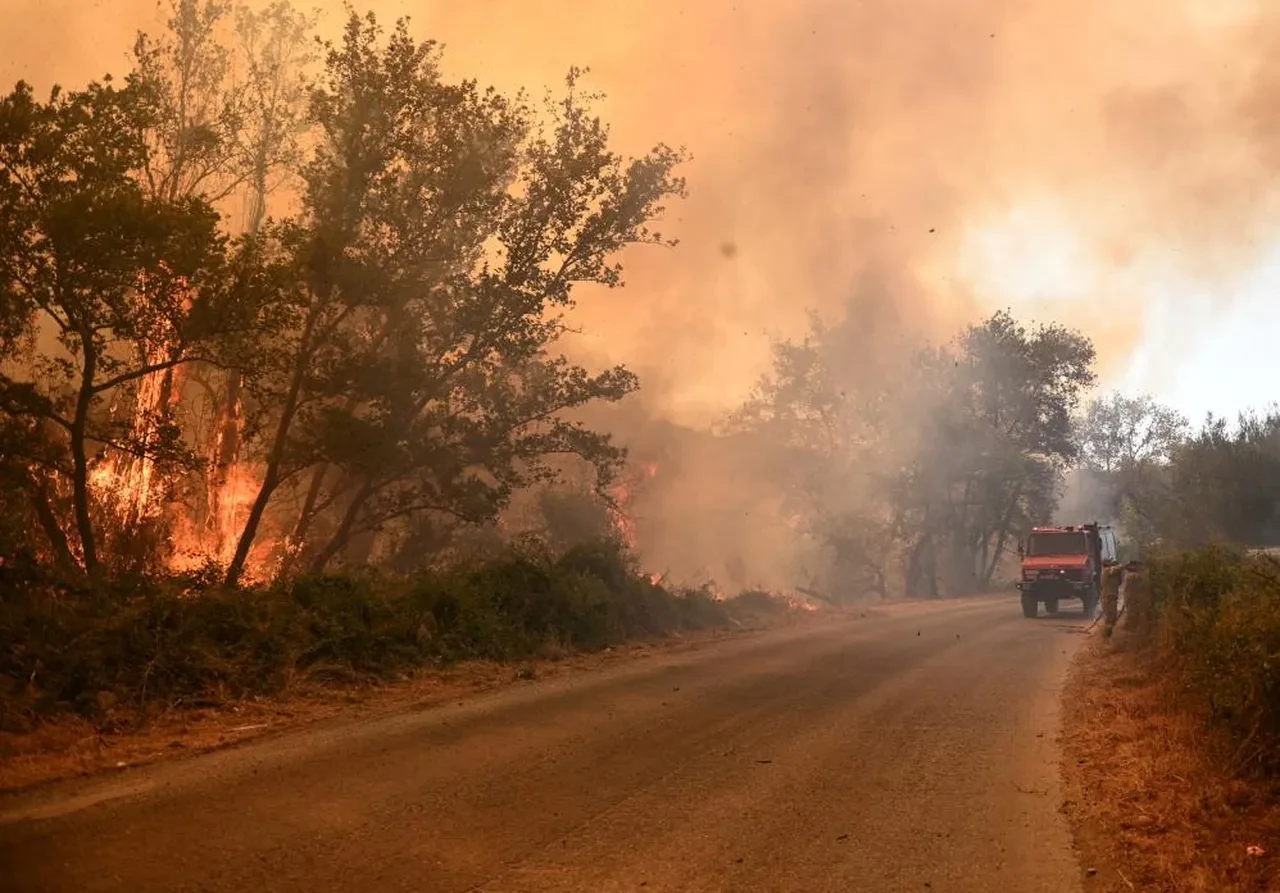 Yunanistan'ı orman yangınları felaketi sardı, yerleşim yerleri de küle döndü: Yaralılar var