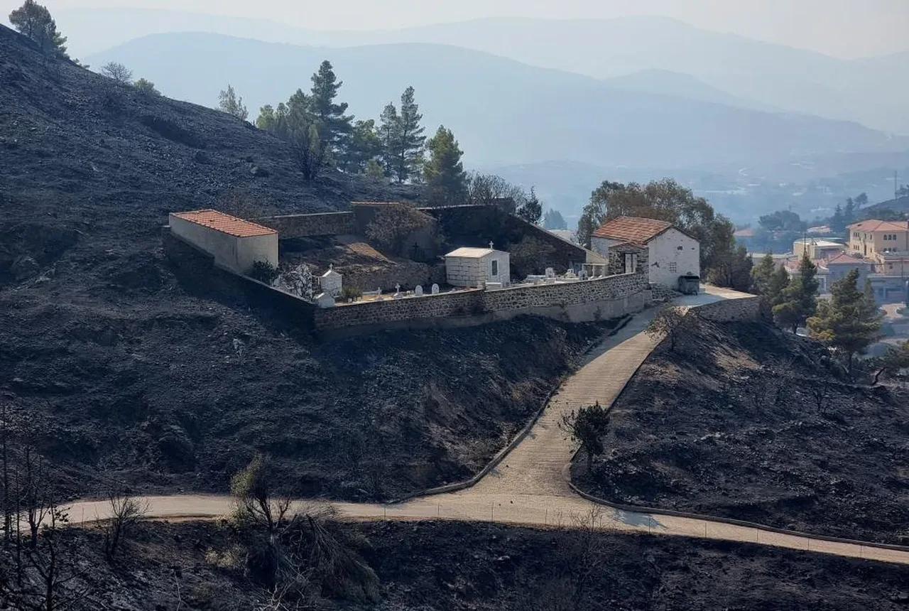 Yunanistan'ı orman yangınları felaketi sardı, yerleşim yerleri de küle döndü: Yaralılar var