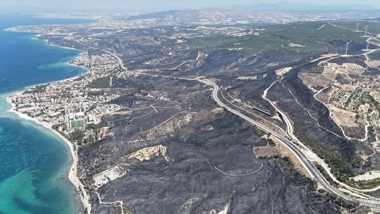 Çanakkale'nin ciğerleri yandı! Geriye bu acı tablo kaldı