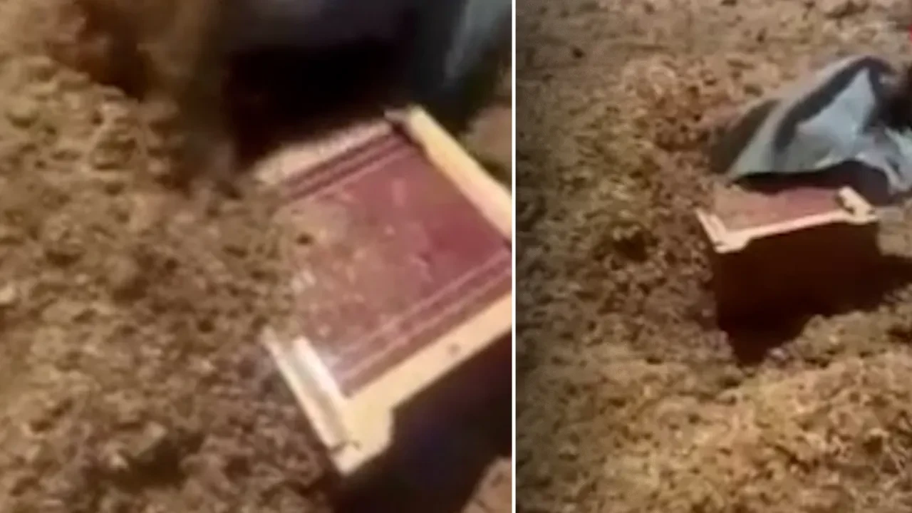 Hayvan gübresini kazdıkça altından çıktı! Ekipler bile şoke oldu