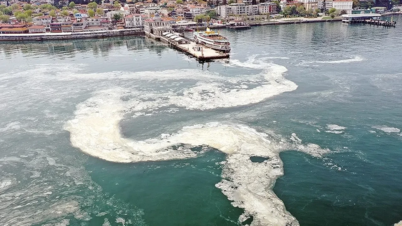 Marmara'da müsilaj alarmı! 55 tesise 800 milyonluk ceza kesildi