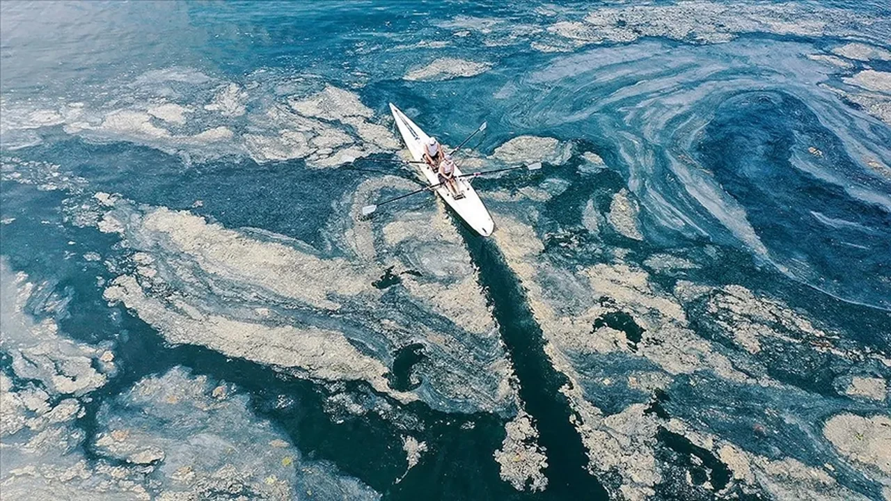 Marmara'da müsilaj alarmı! 55 tesise 800 milyonluk ceza kesildi