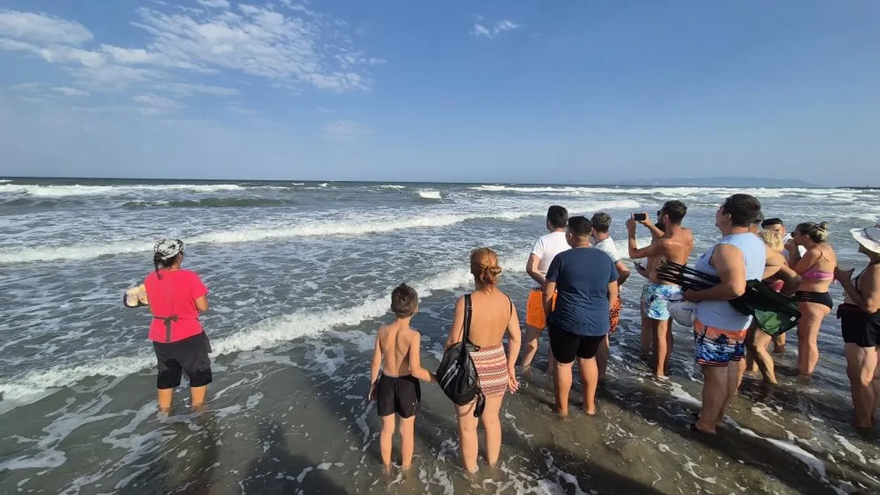 Tekirdağ'da can pazarı! Yasağa rağmen denize girdiler: 1 kişi kayıp