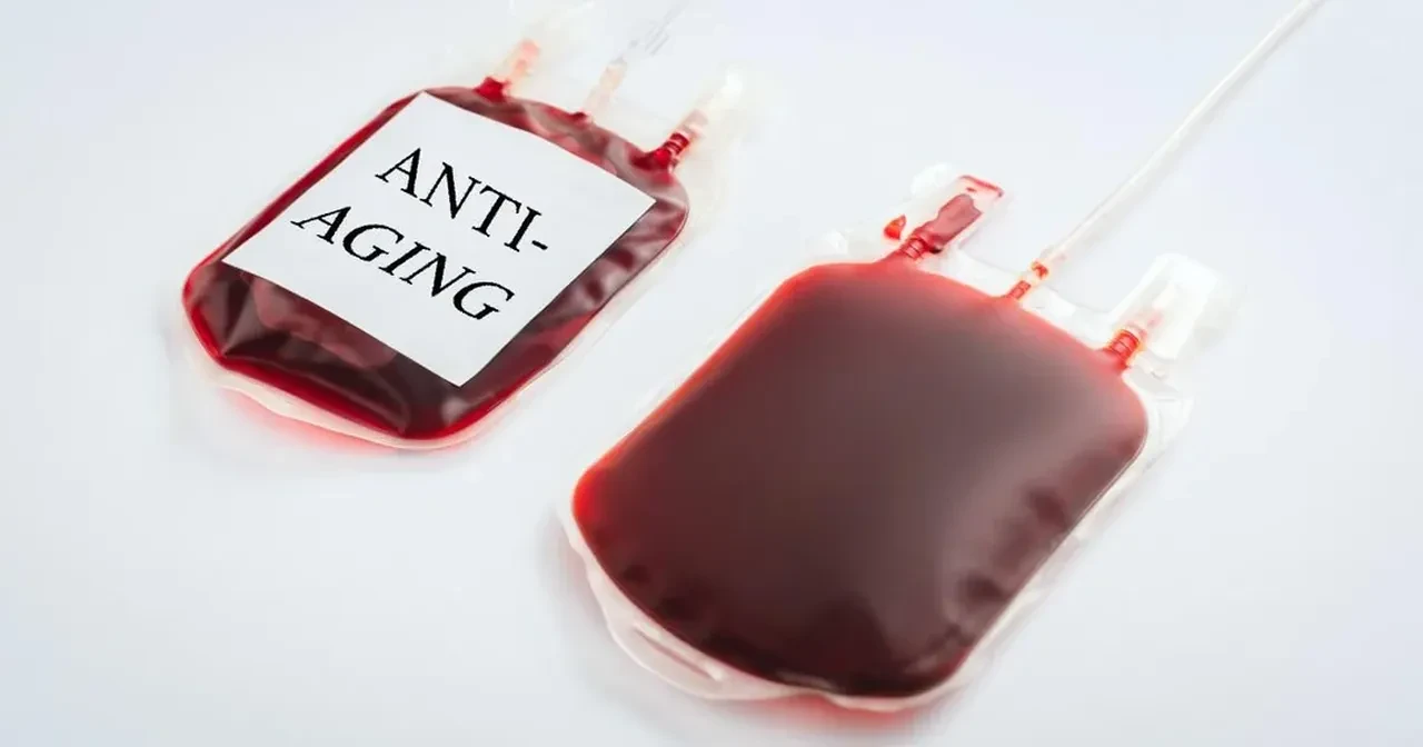 Vampir masalı doğru çıktı: Gençlerin kanıyla gençleşmek imkansız değil