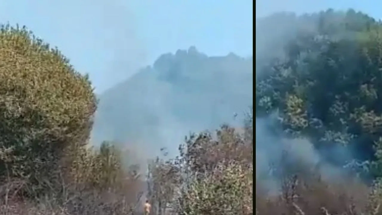 Bartın yangın nerede çıktı? Bartın Amasra orman yangını son dakika