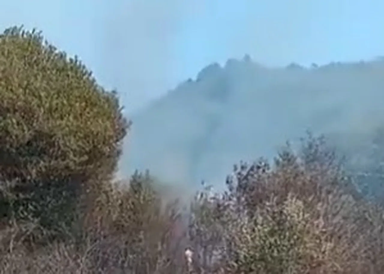 Bartın yangın nerede çıktı? Bartın Amasra orman yangını son dakika
