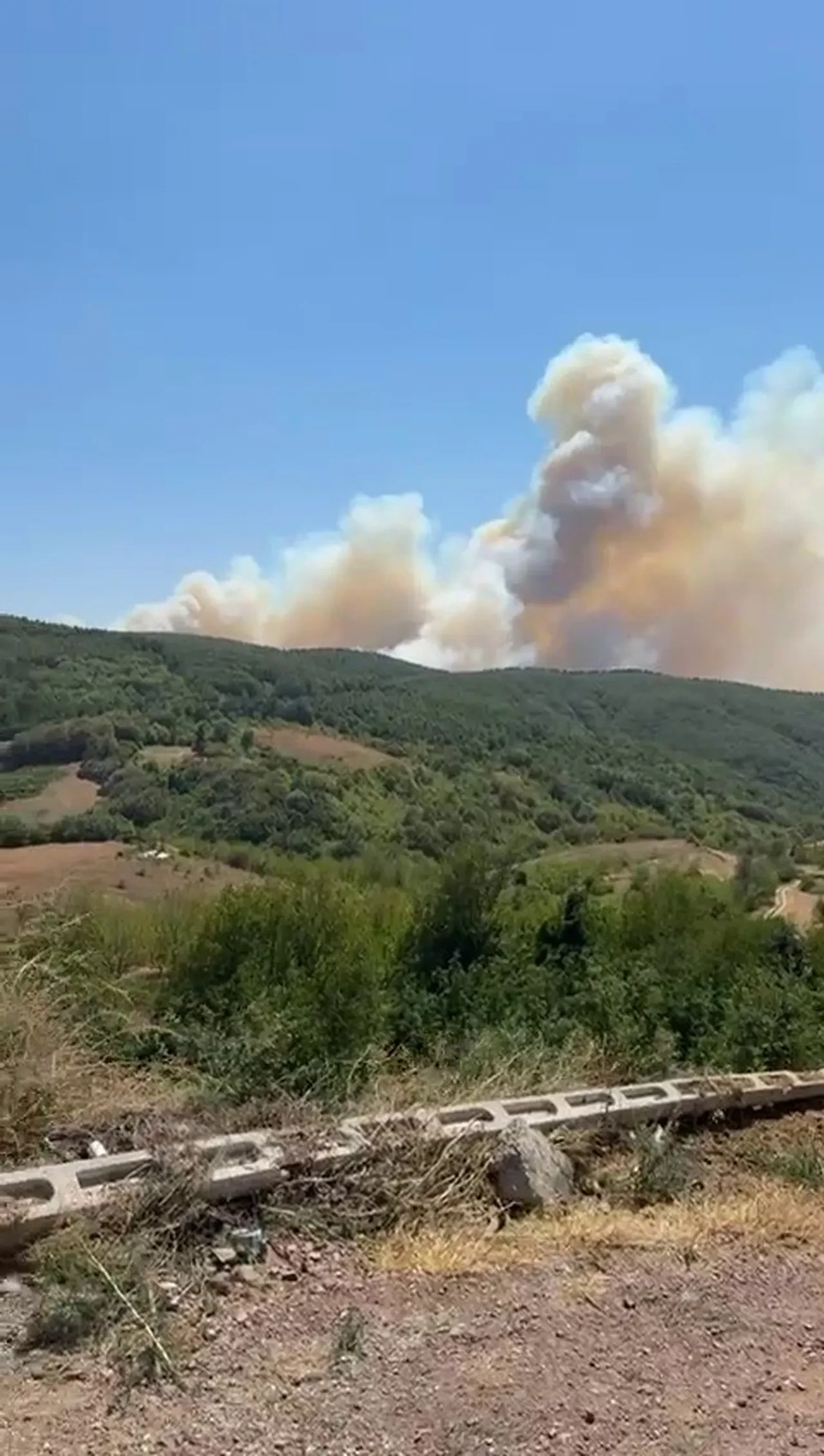 Bursa İznik yangın dumanları gökyüzünü kapladı! Son dakika Bursa Osmangazi yangınında son durum