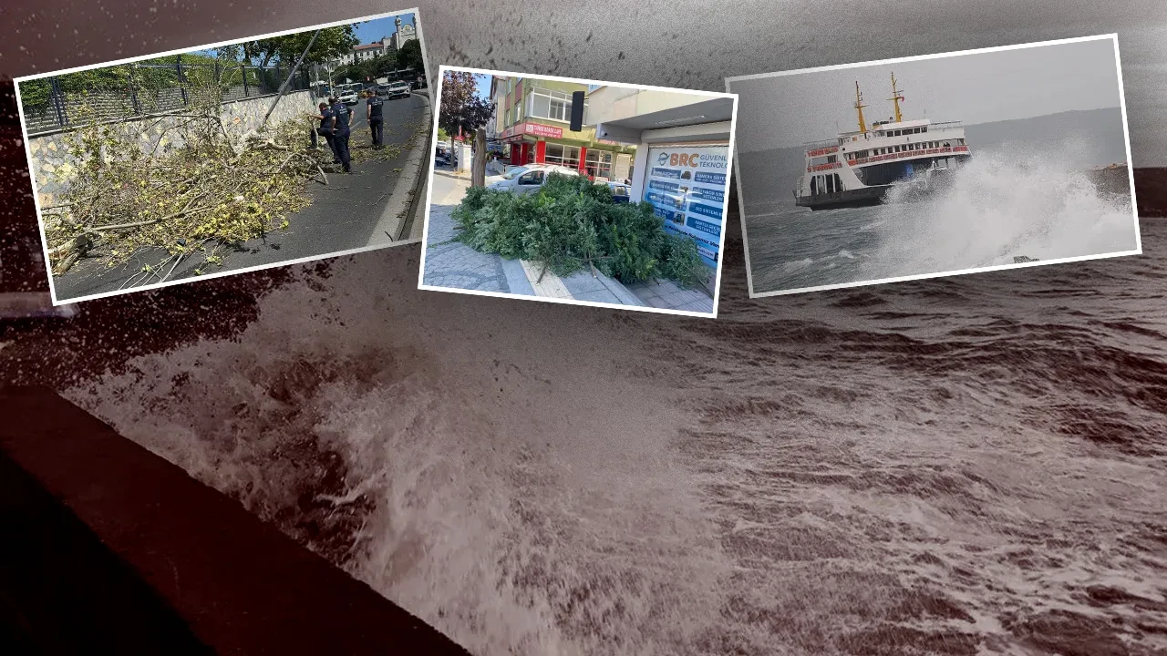 İstanbul'u fırtına vurdu! Seferler iptal edildi, ağaçlar devrildi, camlar patladı 
