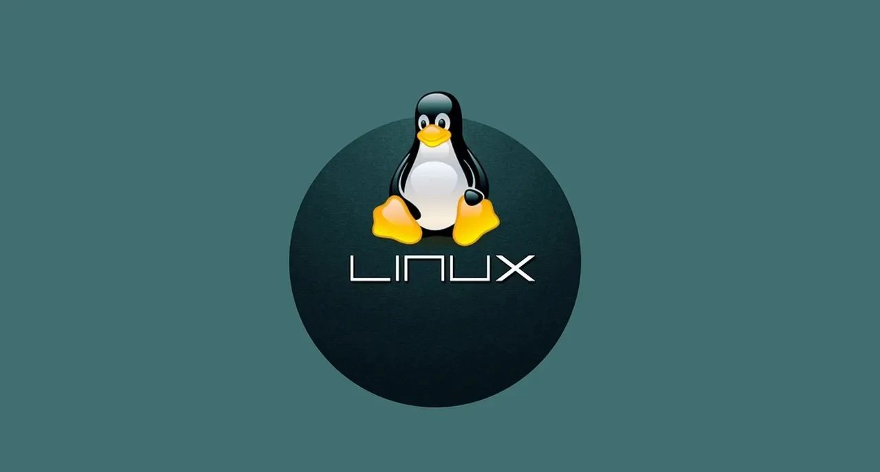 Linux’un dahi yazılımcısı, Google mühendisini yerin dibine soktu: 'Bu kodu çöpe atın'