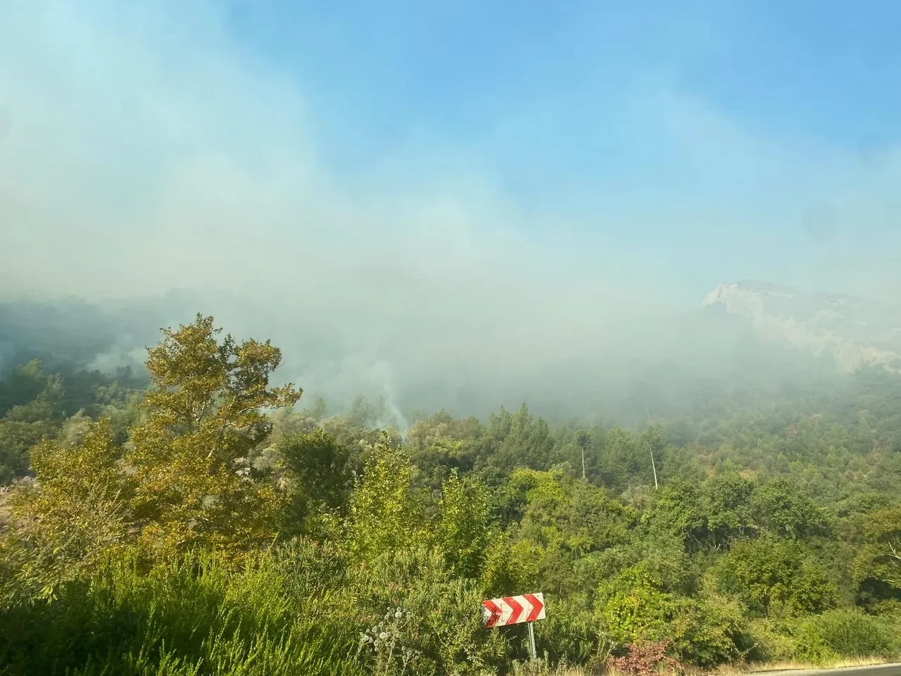 Mersin Anamur yangın son dakika! Mersin'de orman yangını kontrol altına alındı mı?
