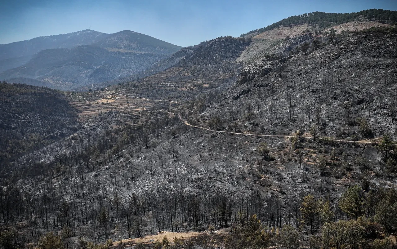 Mersin'de 2 gün süren yangının nedeni ortaya çıktı! Firma sahibi dahil 4 tutuklama