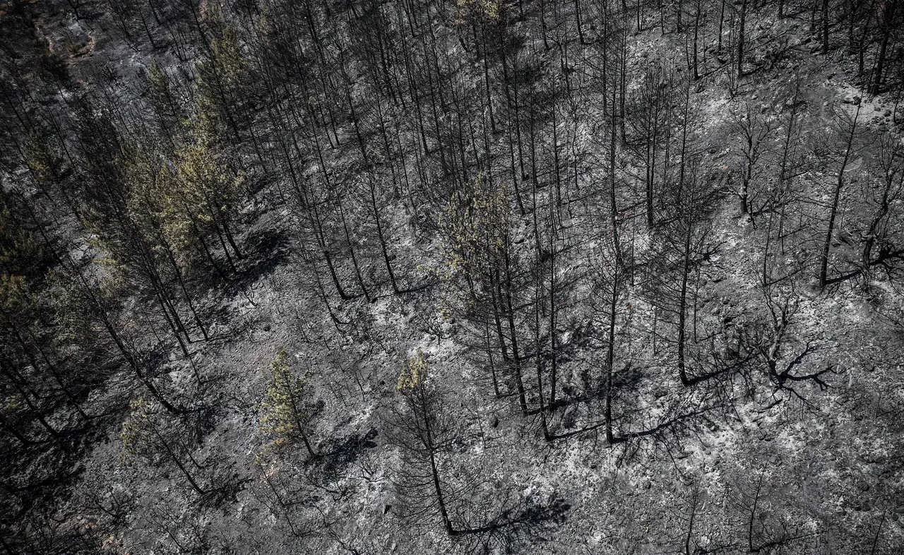 Mersin'de 2 gün süren yangının nedeni ortaya çıktı! Firma sahibi dahil 4 tutuklama