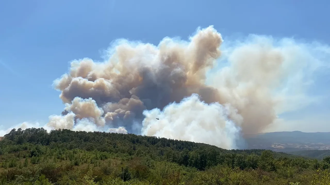8 ildeki yangınlar kontrol altına alındı! Bakan Yumaklı son durumu paylaştı 