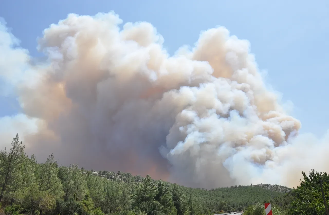 8 ildeki yangınlar kontrol altına alındı! Bakan Yumaklı son durumu paylaştı 