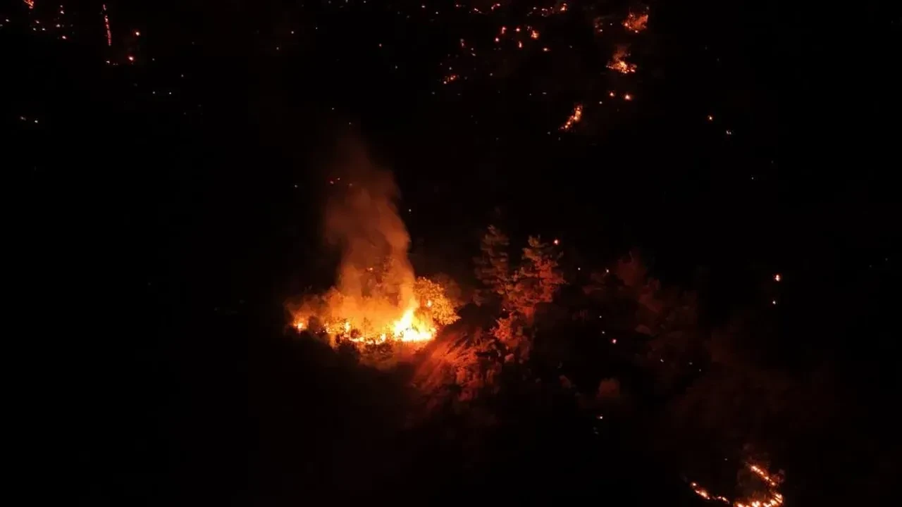 Çanakkale Bayramiç’te çıkan orman yangını kontrol altına alındı
