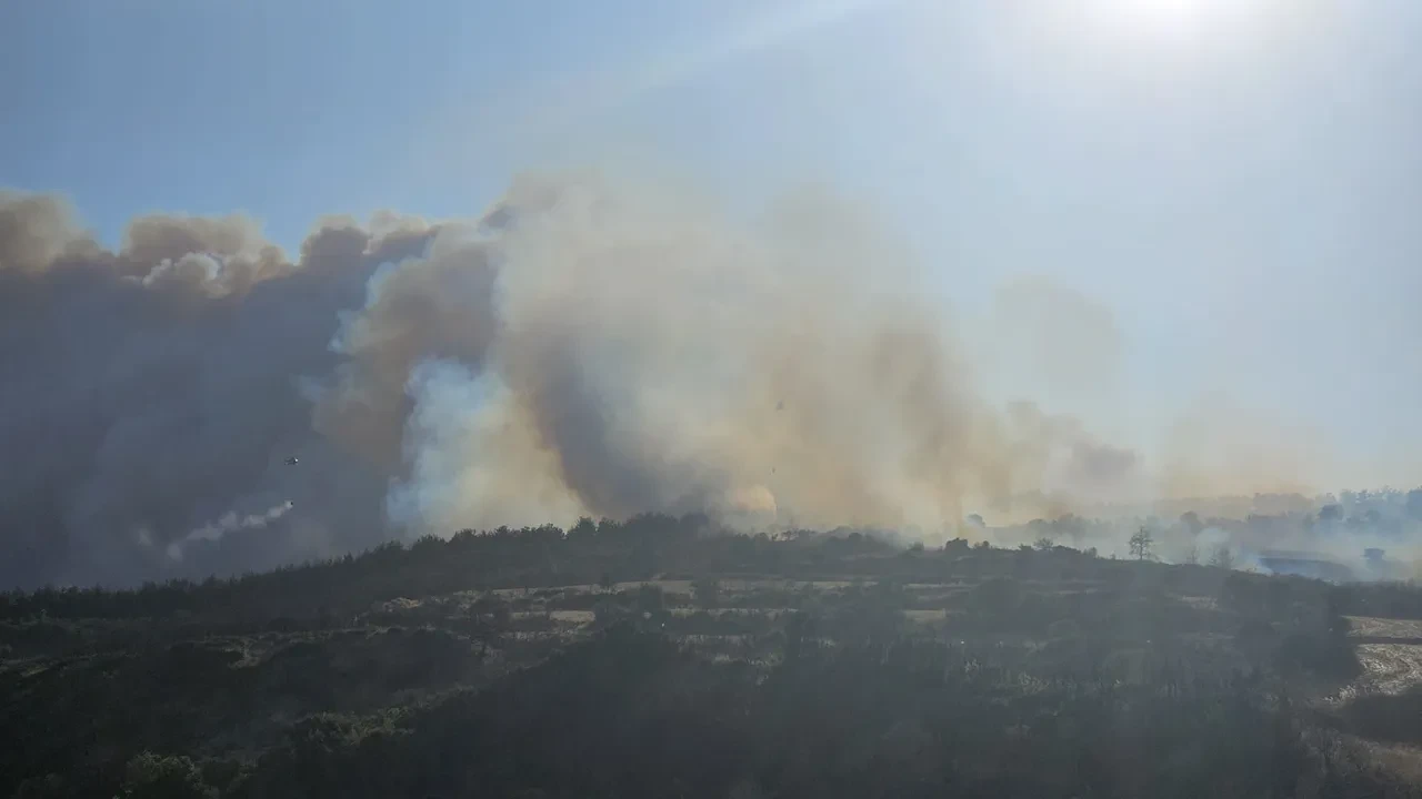 Çanakkale'de yine alevler yükseldi! Gelibolu'da yangın sürüyor