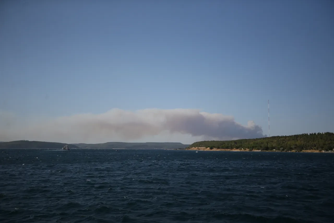 Çanakkale'de yine alevler yükseldi! Gelibolu'da yangın sürüyor