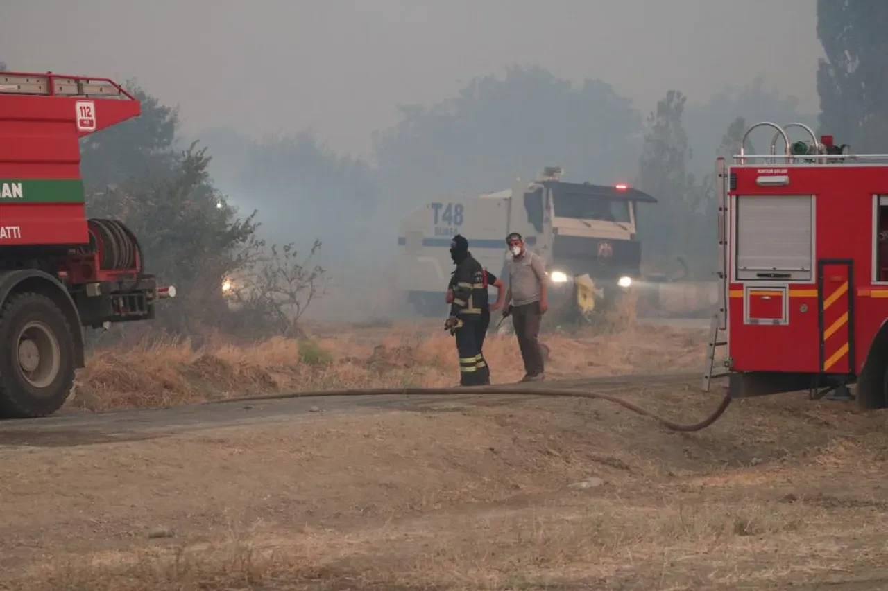Çanakkale'de yine alevler yükseldi! Gelibolu'da yangın sürüyor