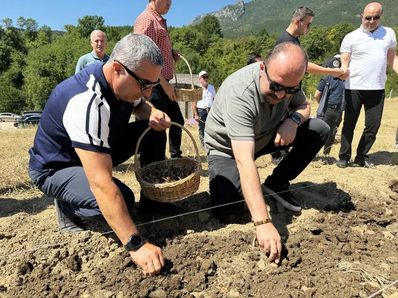 Dünyanın en pahalı baharatı: 'Milli bitki' toprakla buluşuyor
