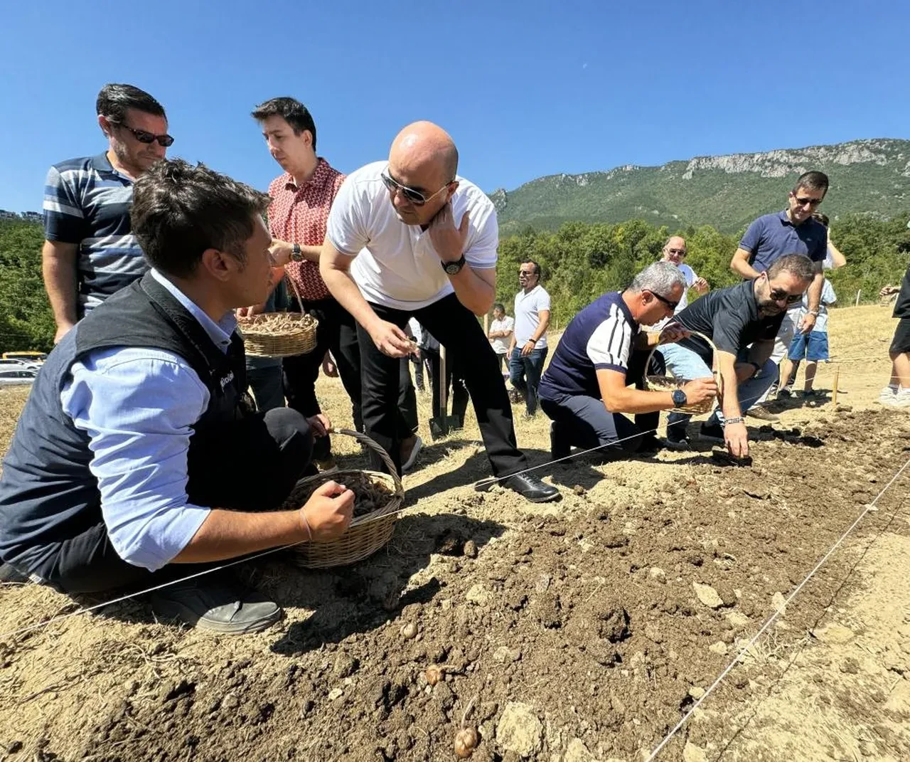 Dünyanın en pahalı baharatı: 'Milli bitki' toprakla buluşuyor