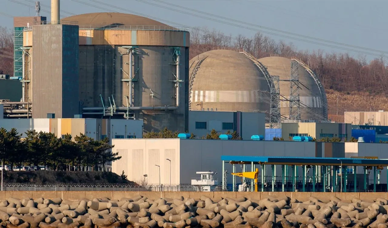 Güney Kore'den Shin-Hanul 2 onayı! Nükleer reaktör tekrar uyandırılacak