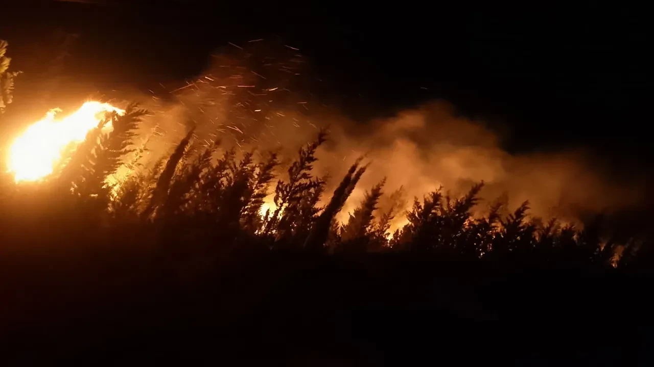 İzmir'de orman yangını! Müdahale sürüyor 
