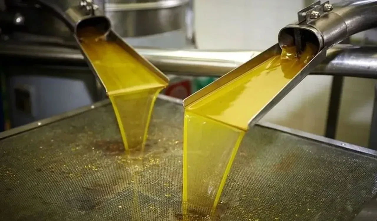 Bakanlık 8 zeytinyağı markasını ifşa etti! İçinden çıkanlar şoke etti