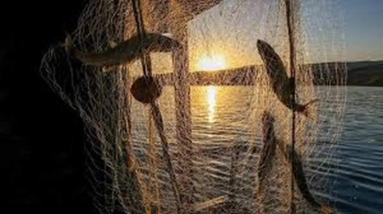 Balık sezonu ne zaman açılıyor? 2025 Av yasağının biteceği tarih belli oldu