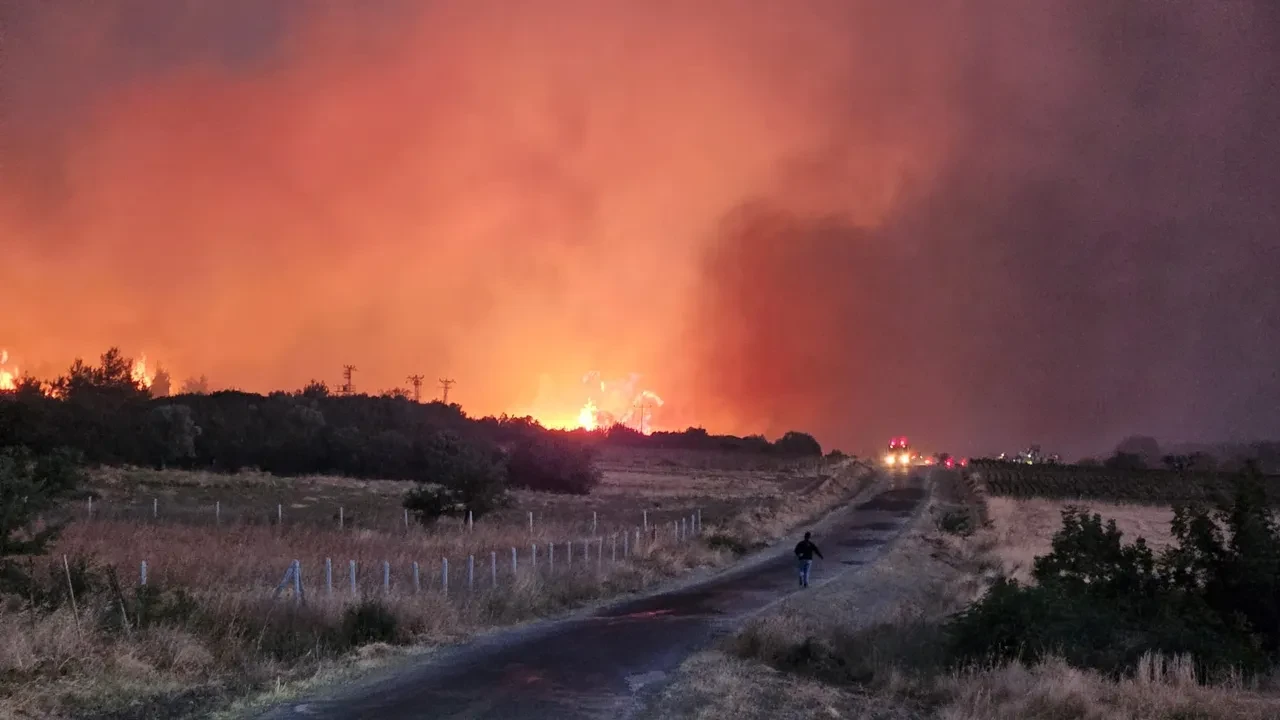 Çanakkale'de yine alevler yükseldi! Gelibolu'da yangın sürüyor