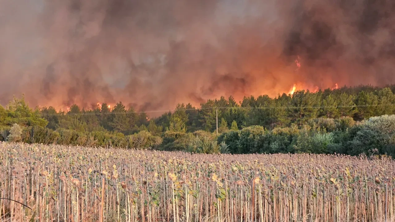 Çanakkale'de yine alevler yükseldi! Gelibolu'da yangın sürüyor