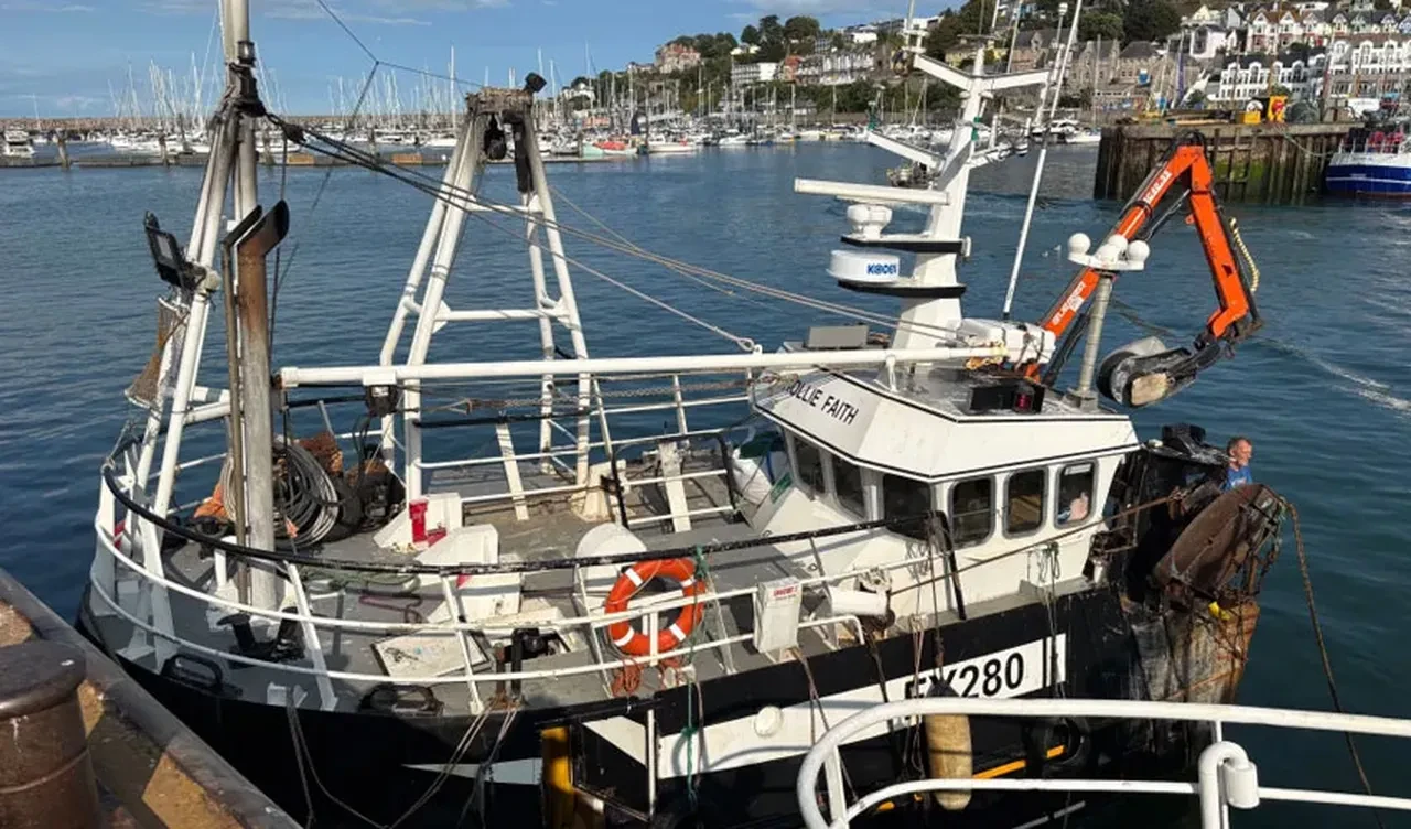 Dev ton balığı, balıkçıları şoka soktu! Tekneden vinçle indirildi