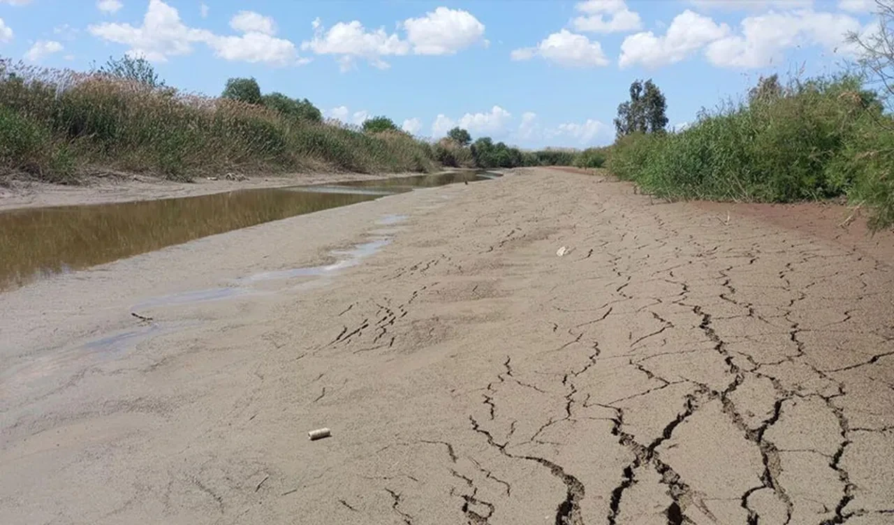 Ege'de kuraklık kapıda! Bilim insanları uyarıyor