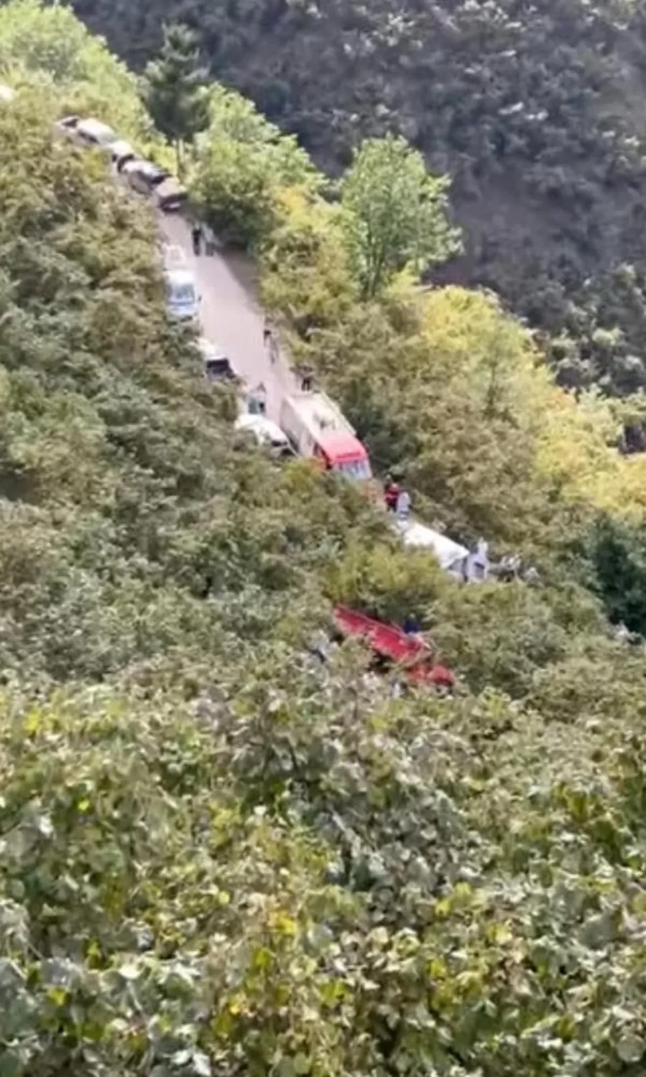 Giresun'da işçileri taşıyan kamyonet yamaçtan uçtu: Ölü ve yaralılar var