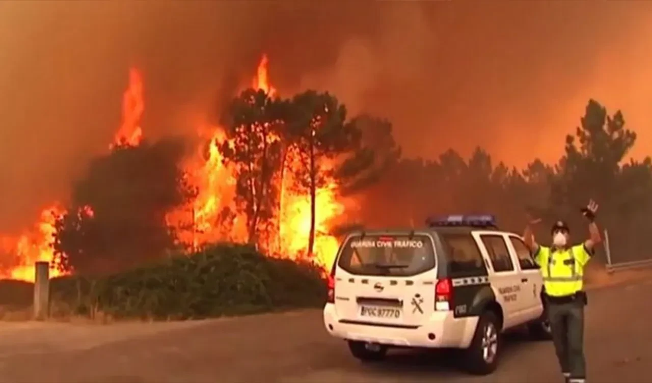İspanya küle döndü! 14 farklı orman yangınından çok sayıda ölü var