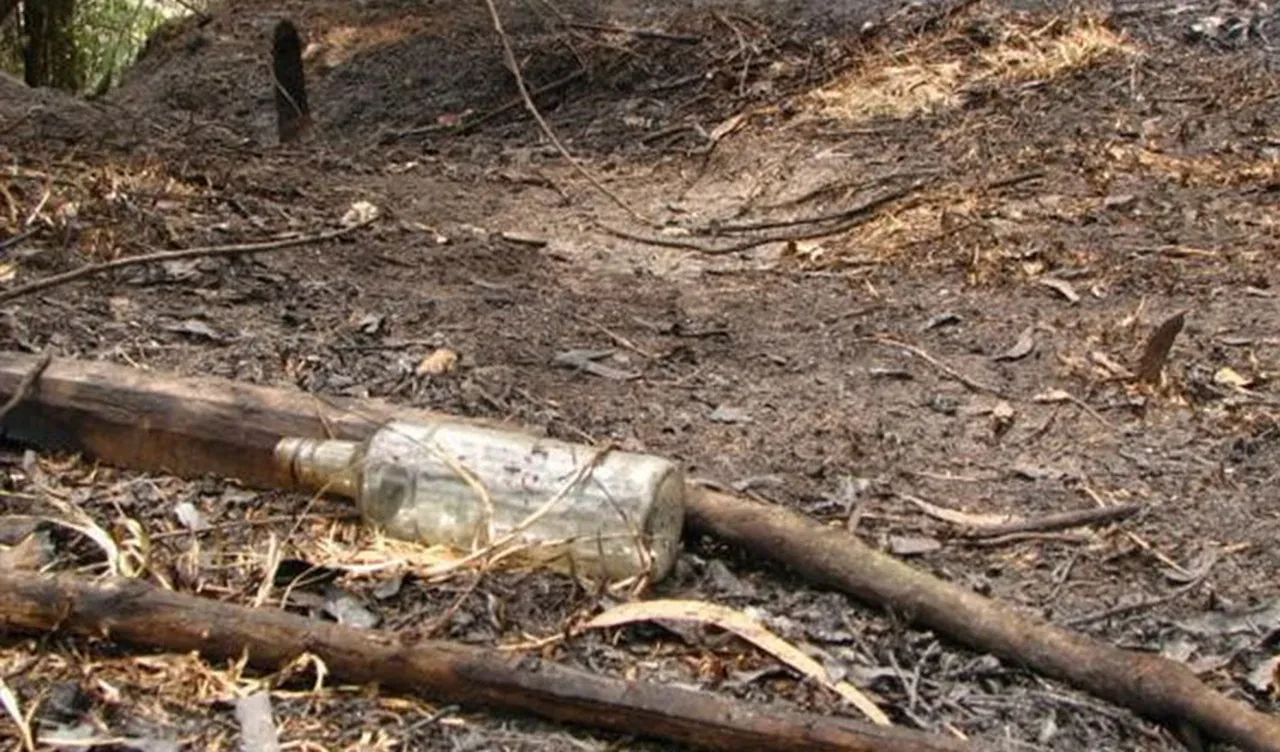 İspanya küle döndü! 14 farklı orman yangınından çok sayıda ölü var