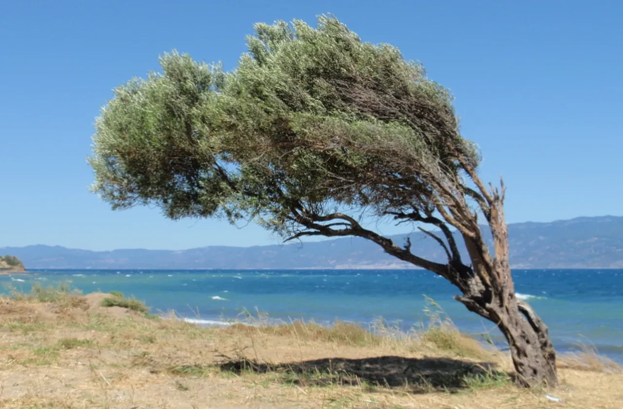 Meteoroloji'den şiddetli rüzgâr ve sağanak yağmur uyarısı! İşte 17 Ağustos hava durumu