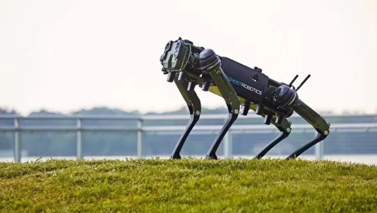 Robot köpekler dünyayı saran chikungunya virüsüyle mücadele edecek!