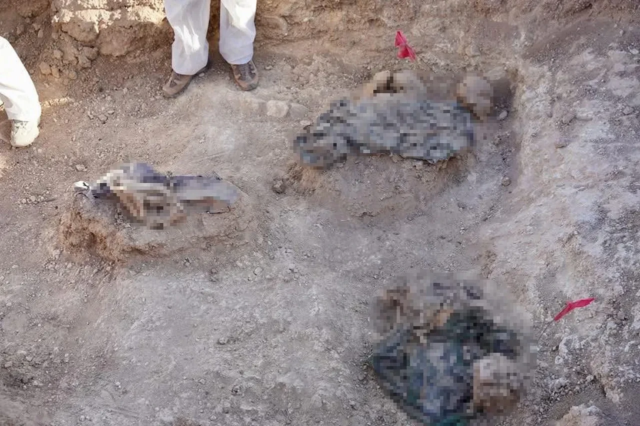 Terör örgütü DEAŞ'ın 'ölüm çukuru' açıldı, ceset çıkarma çalışmaları başladı