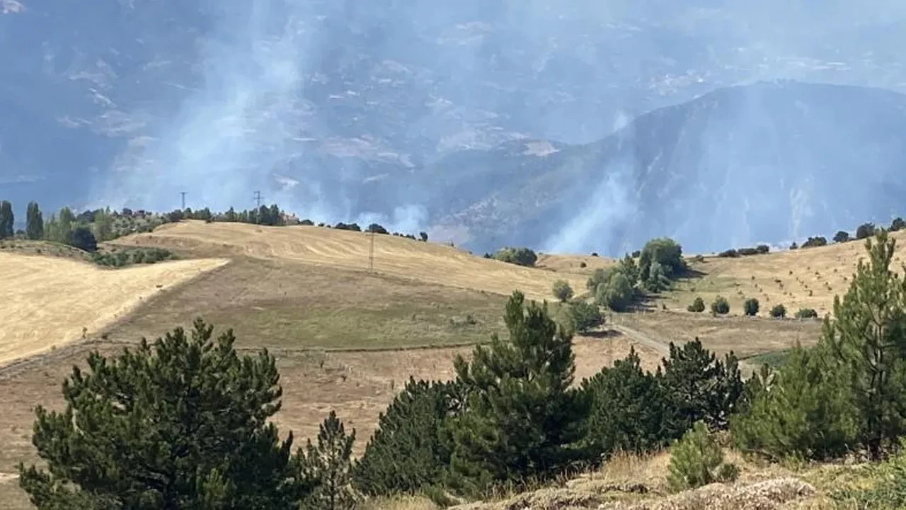 Çorum'da korkutan orman yangını