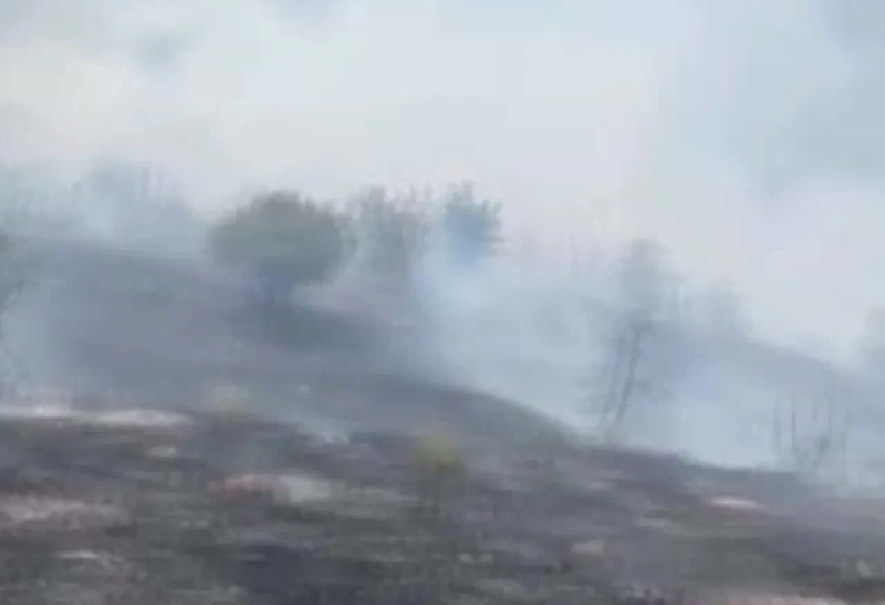 Malatya orman yangını son dakika nerede çıktı? Ekipler bölgede çalışıyor