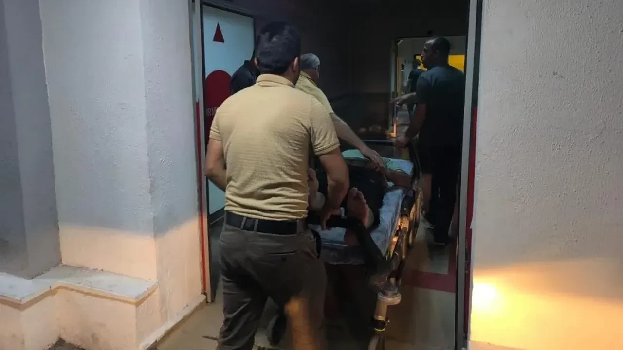 Siirt Kurtalan’da bahçesinde çalışan adam ağaçtan düşerek yaralandı