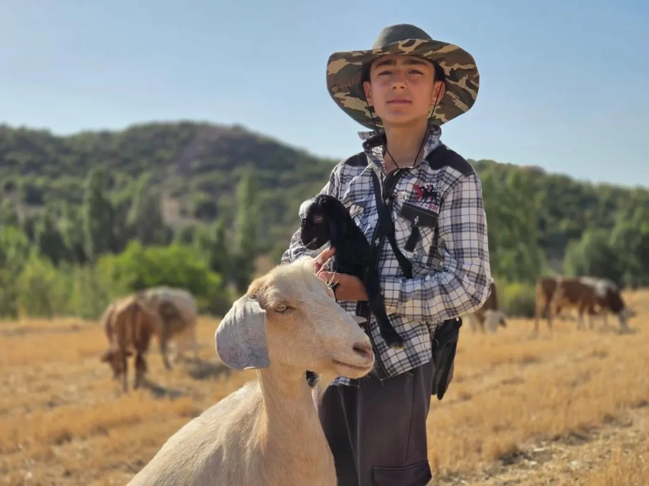 Anne keçi çantada taşınan yavrusunun peşinden ayrılmadı
